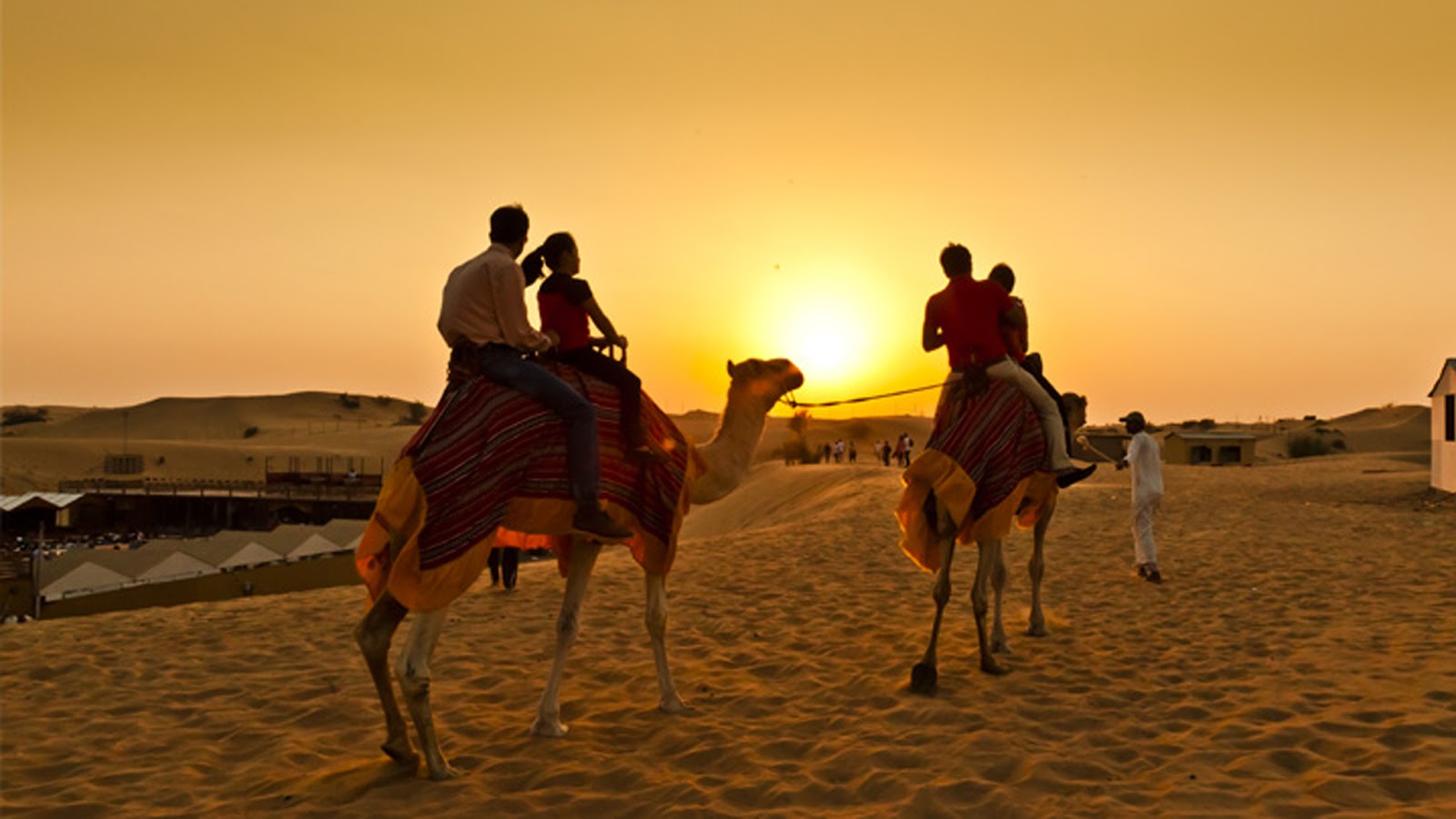 safari travel saudi arabia